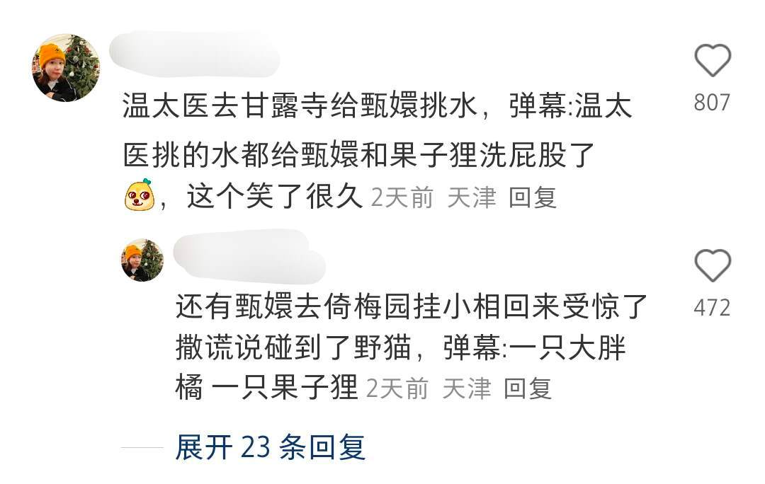 我将永远追随《甄嬛传》的弹幕老师们