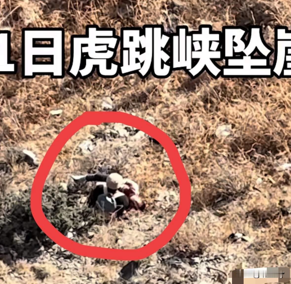 虎跳崖男童摔下悬崖后，他的奶奶和几名游客紧接着就赶紧走下山崖去查看情况！奶奶看到