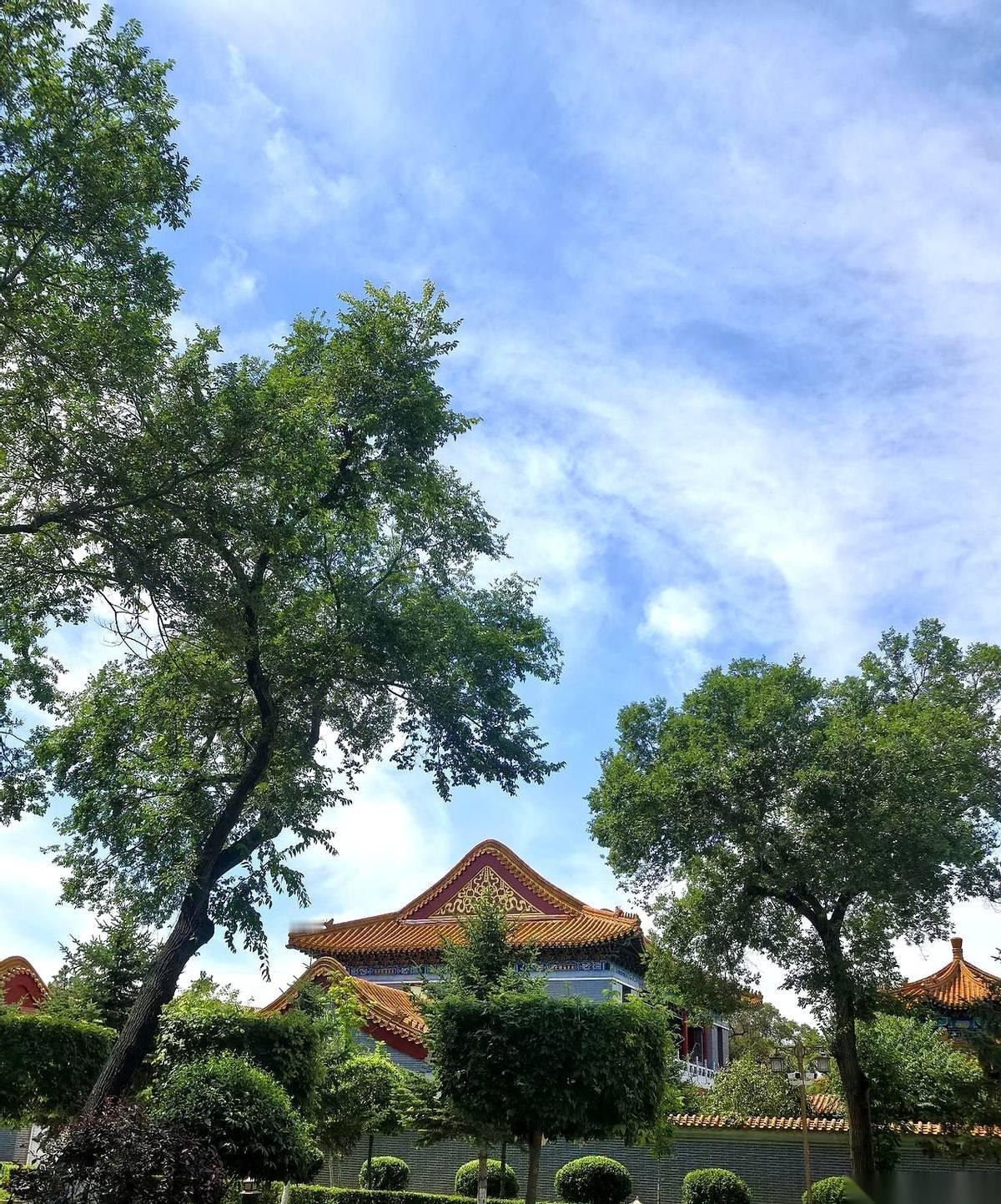 巴沙尔·阿萨德，叙利亚曾经的掌权者，刚刚从老家收到一个“判决”。死刑。由大马
