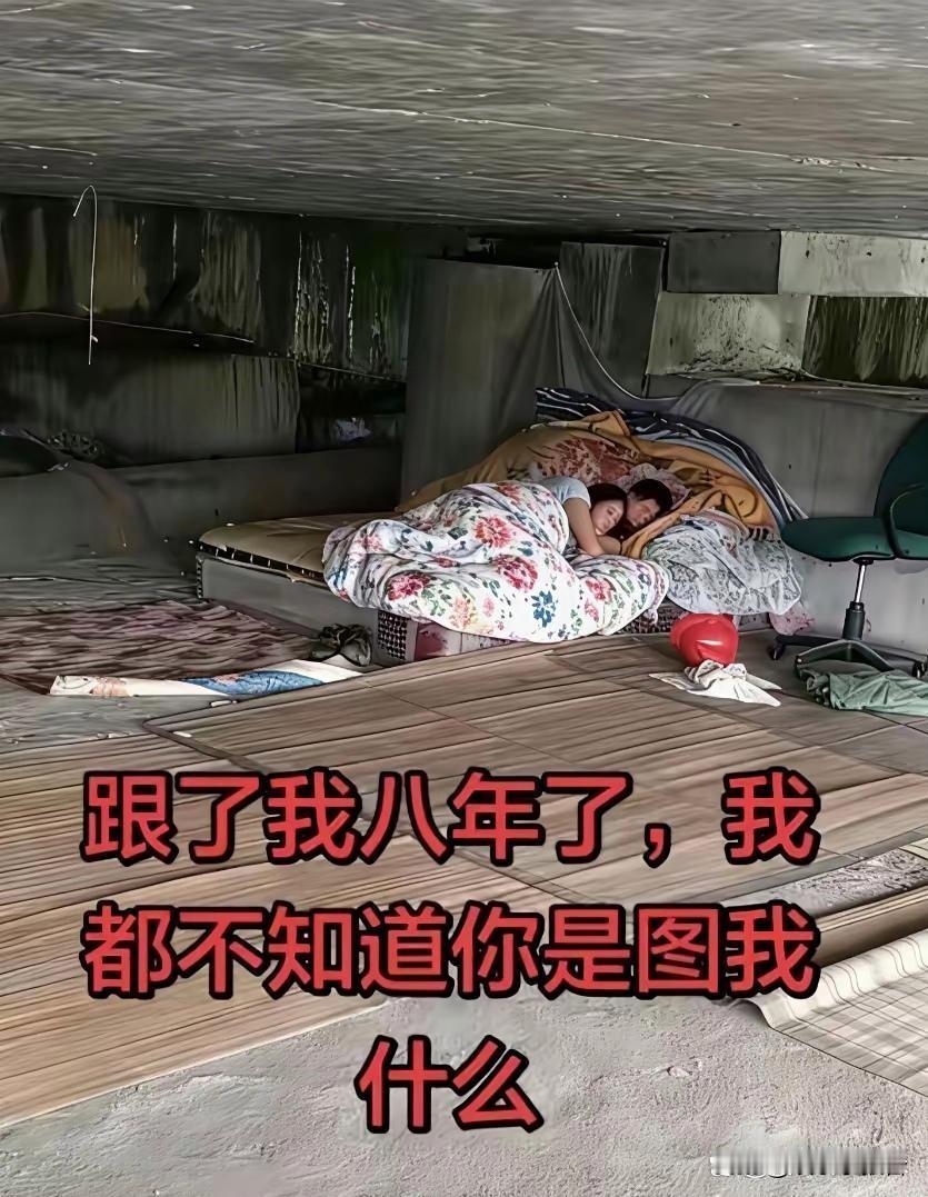 不得不问、是什么让她坚持了8年？