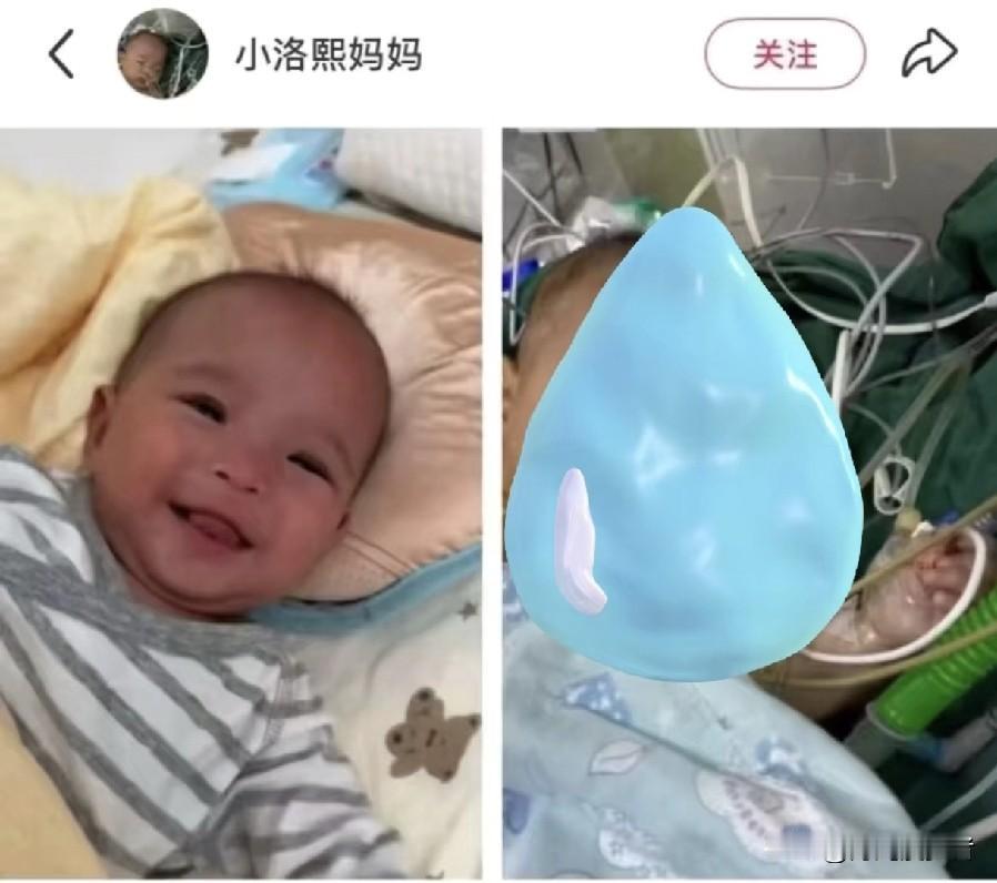 这才是，今年最大的瓜。宁波妇儿医院的陈医生又登上热搜了，这次不是私事，是工作