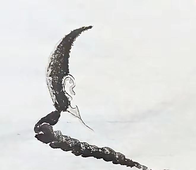 考眼力，直觉告诉我，你认为他是哪位历史人物？