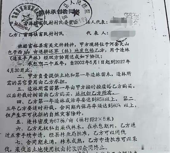 黑龙江一大妈23年前承包了360亩地，种了3万棵杨树，去年树长到粗20到40厘米