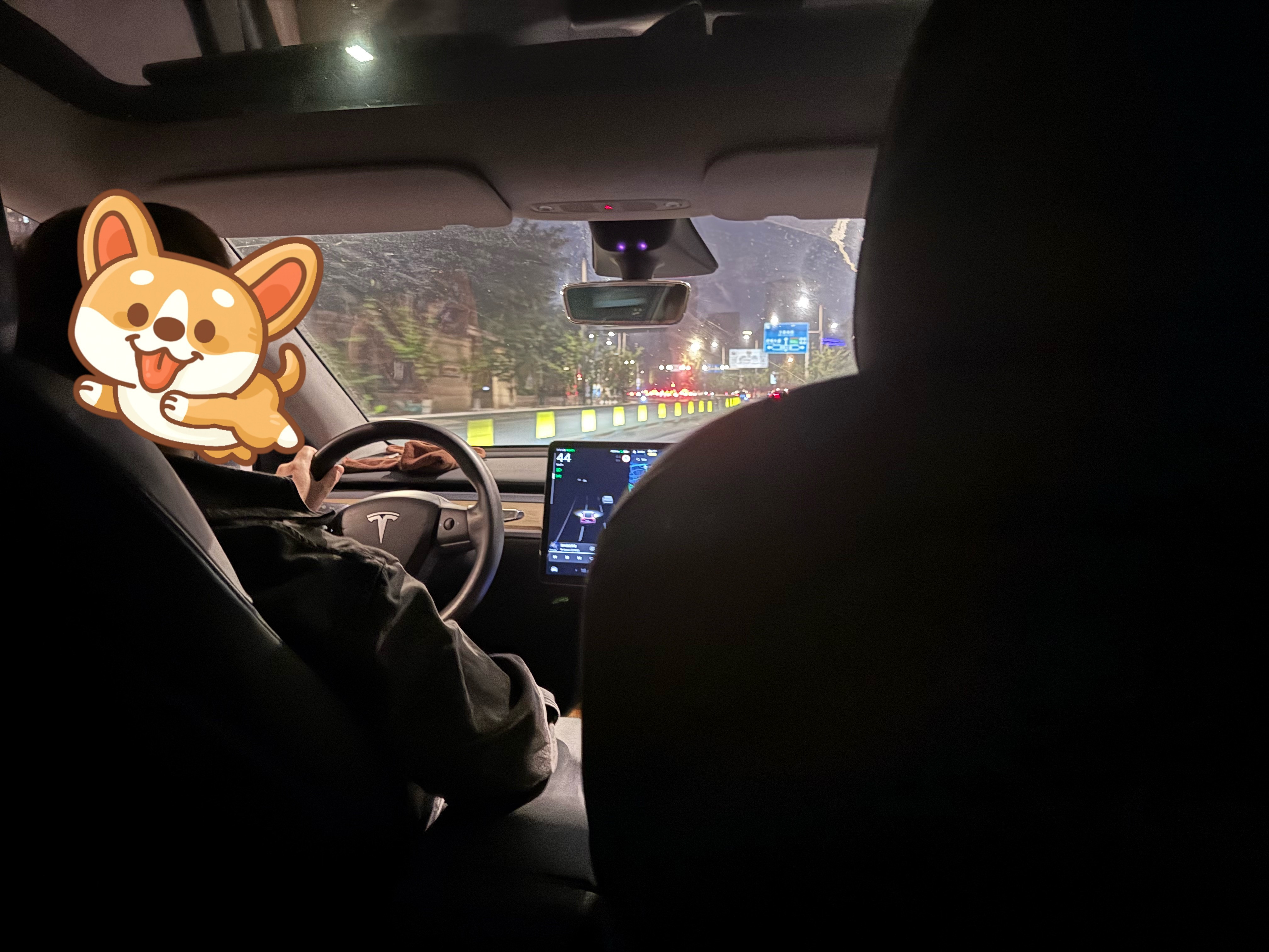 打车打到一辆老款ModelY，悬架是真运动，但感觉有点散，可能公里数大了，之前