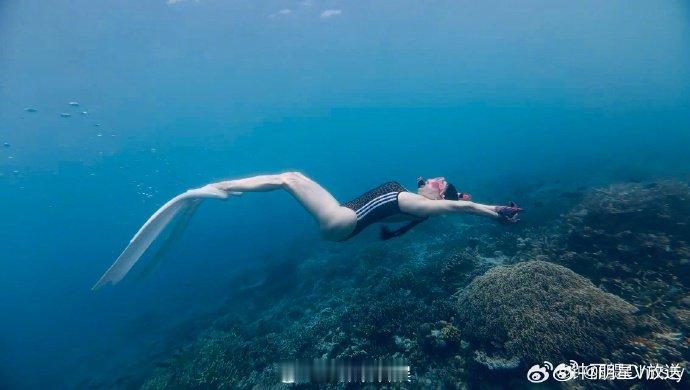 钟丽缇夫妇带女儿海岛度假钟丽缇潜水照7月23日微博晒出海岛度假照，与张伦