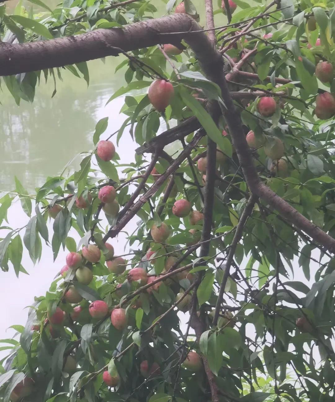 在单位，办公室主任不管跟谁聊天，都要注意少聊这四点:1，领导的隐私2，同事的
