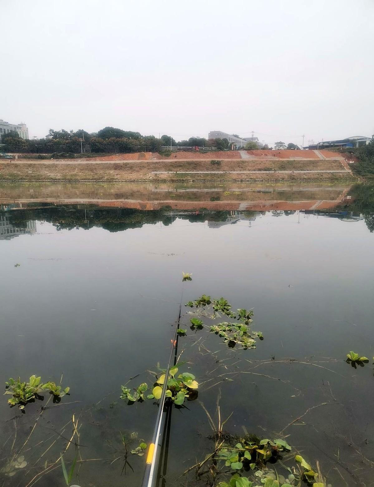 鱼饵一扔，小鱼开饭，大鱼装死。你急得冒汗，它啃得欢实。不是你手笨，是饵太软，