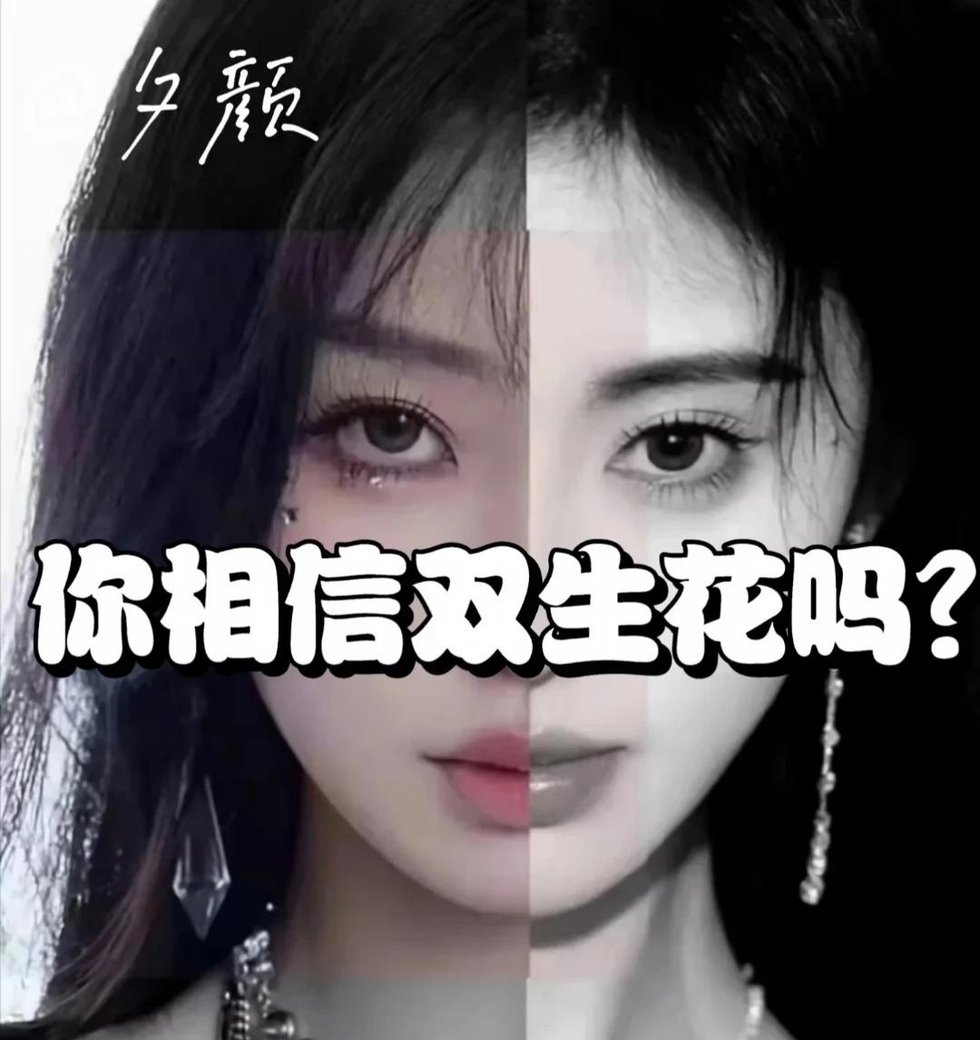 无捆挷意思女明星神仙颜值谢谢以上明星的出场喜欢的明星从小美到大