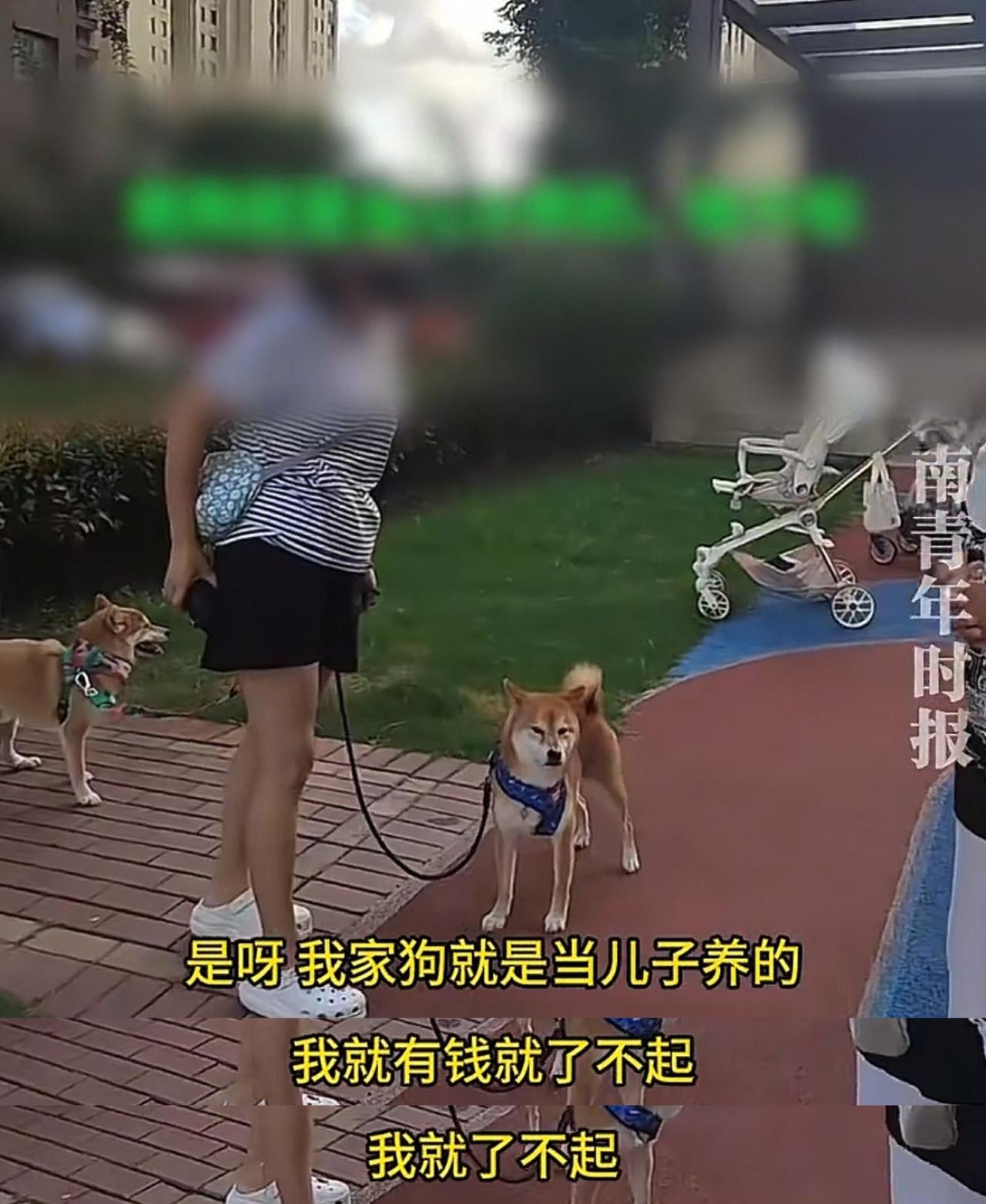 这下彻底出名了！这位上海阿姨，自家狗扑吓两岁幼童，孩子哭得撕心裂肺，她不仅不道歉
