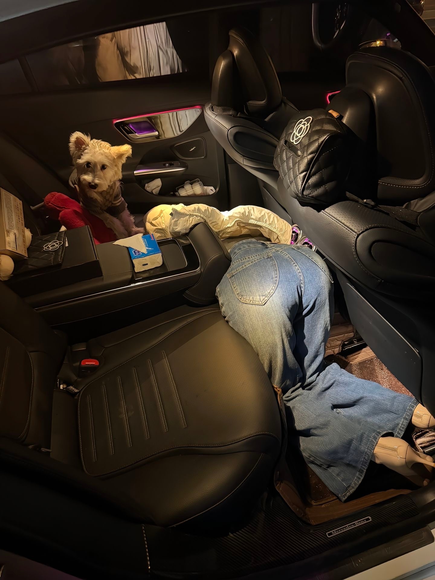 傻闺蜜这都能卡住