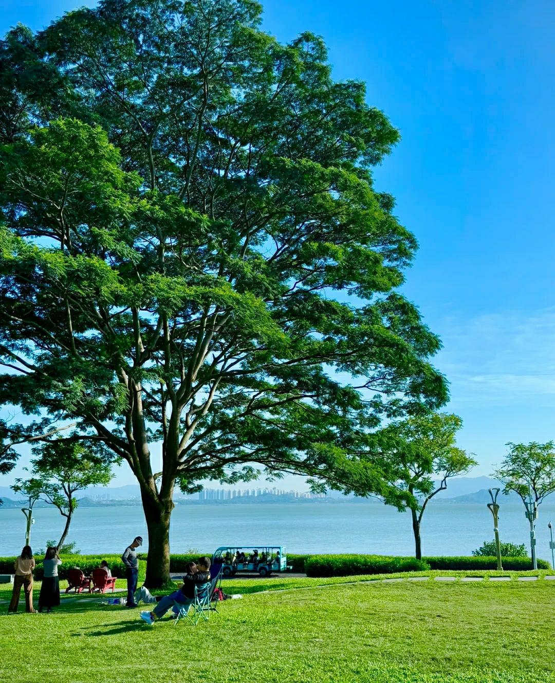 工作中回报率最高的20件小事（拒绝瞎努力)1.上班别急着回消息，先花5分钟