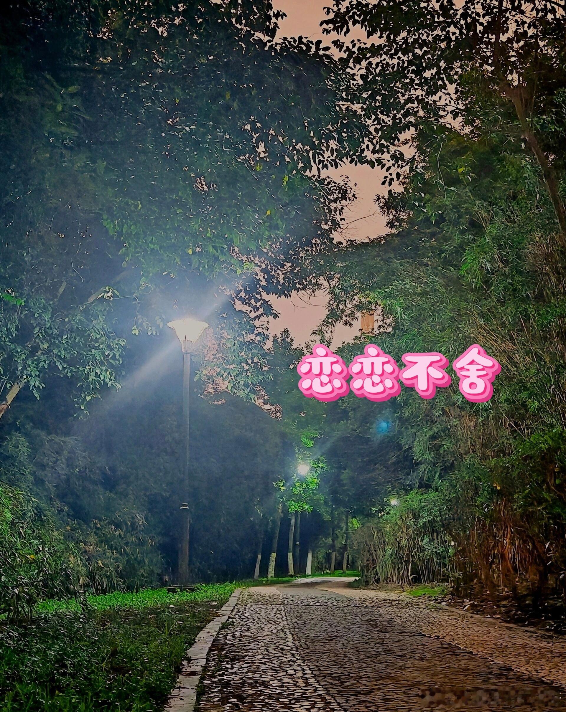 微小说大赛奇思妙想《恋恋不舍》五忆往昔，晚风惊鸿七月底的暑气还黏在空气里，求实