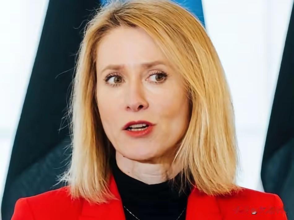 卡拉斯：该喝一杯了！欧盟外交及安全政策高级代表卡拉斯表示，目前，国际局势动乱