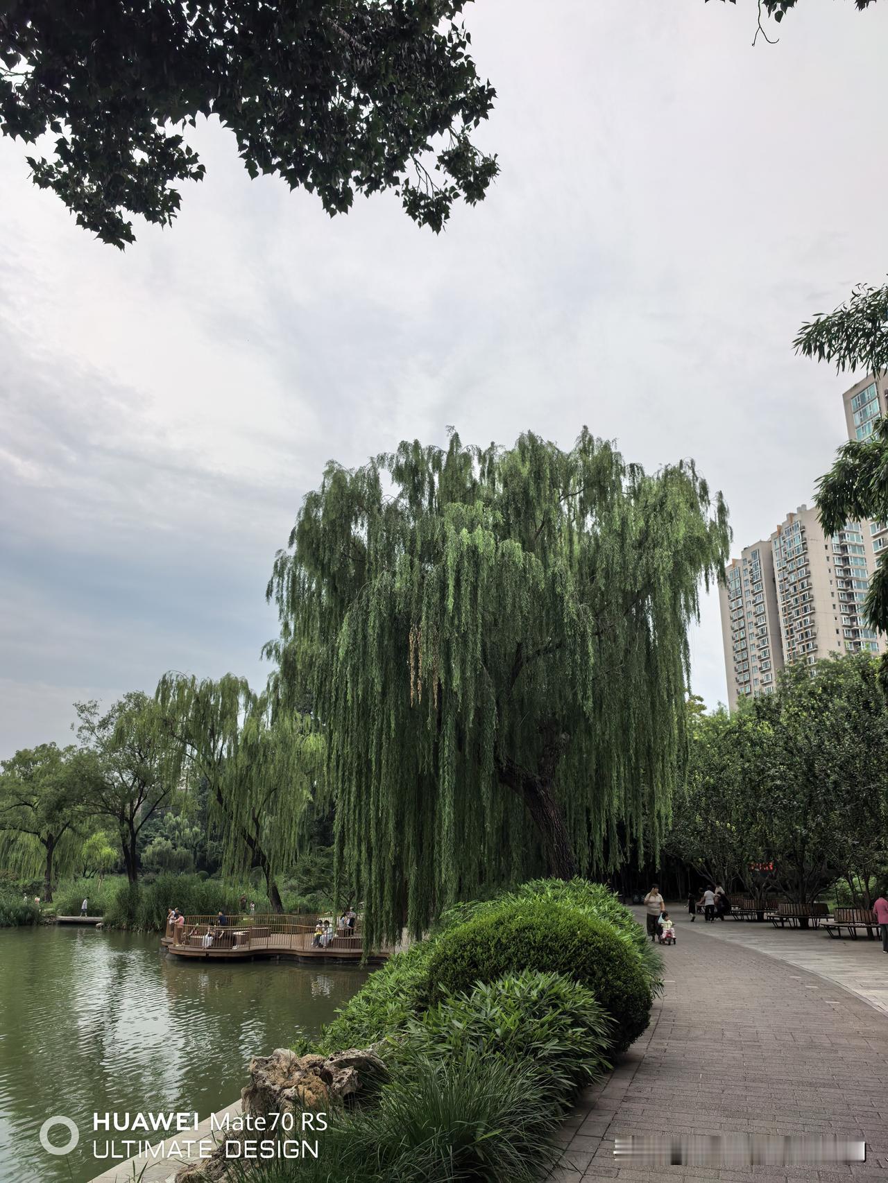 暑期档的热门电影都回本了吗？1.功夫女足，投资成本3.8亿周星驰导演，累计