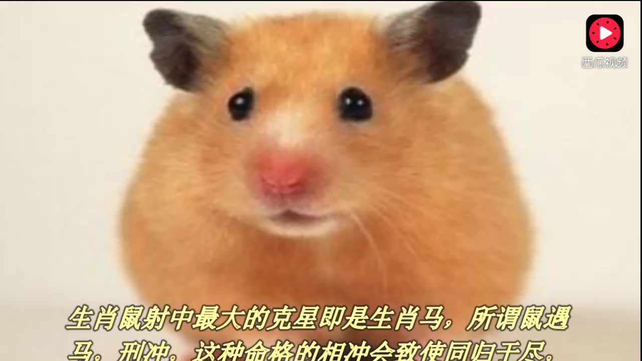 3083285310559914335.jpg?id=0