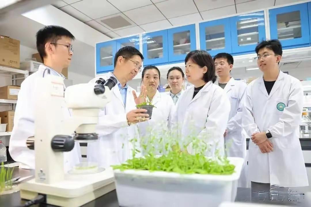 中国科学家一举破解百年生物学难题！植物细胞全能性的秘密被山东农业大学团队彻底揭开