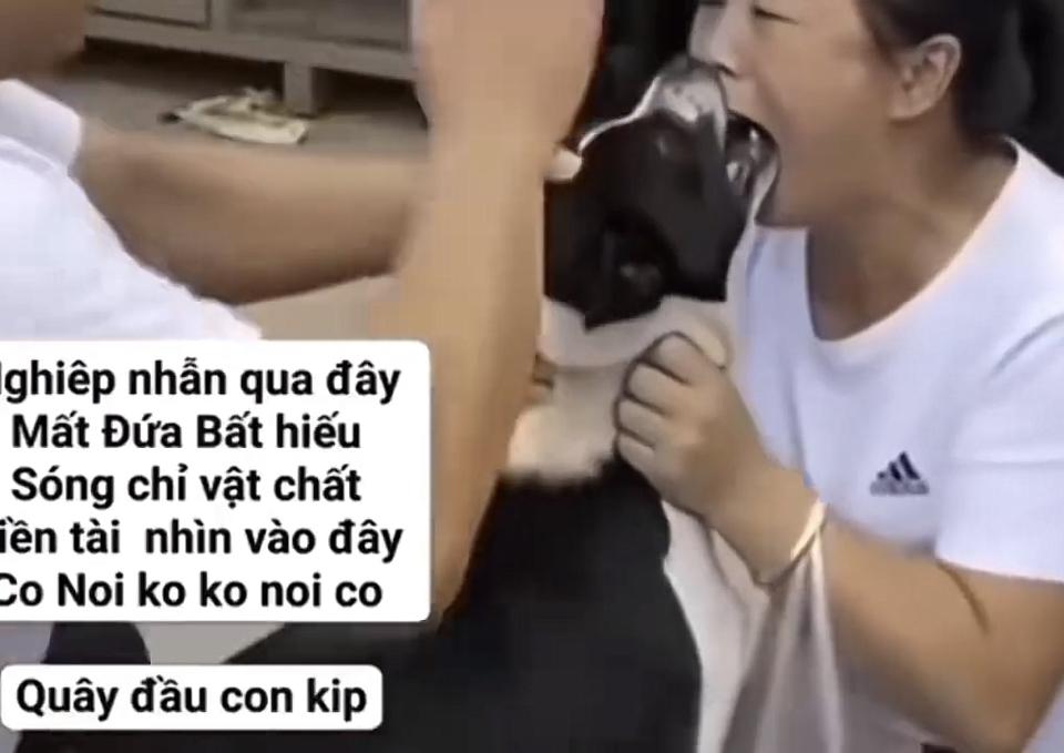 爱狗人士，和狗亲嘴，狗被吓了下跳，应激反应。把这个爱狗人士的嘴死死咬住，不松口。