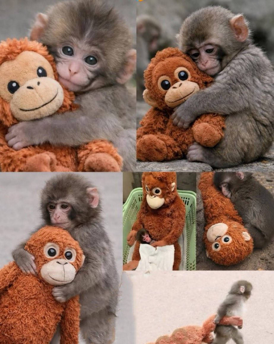 这是个令人心酸的故事