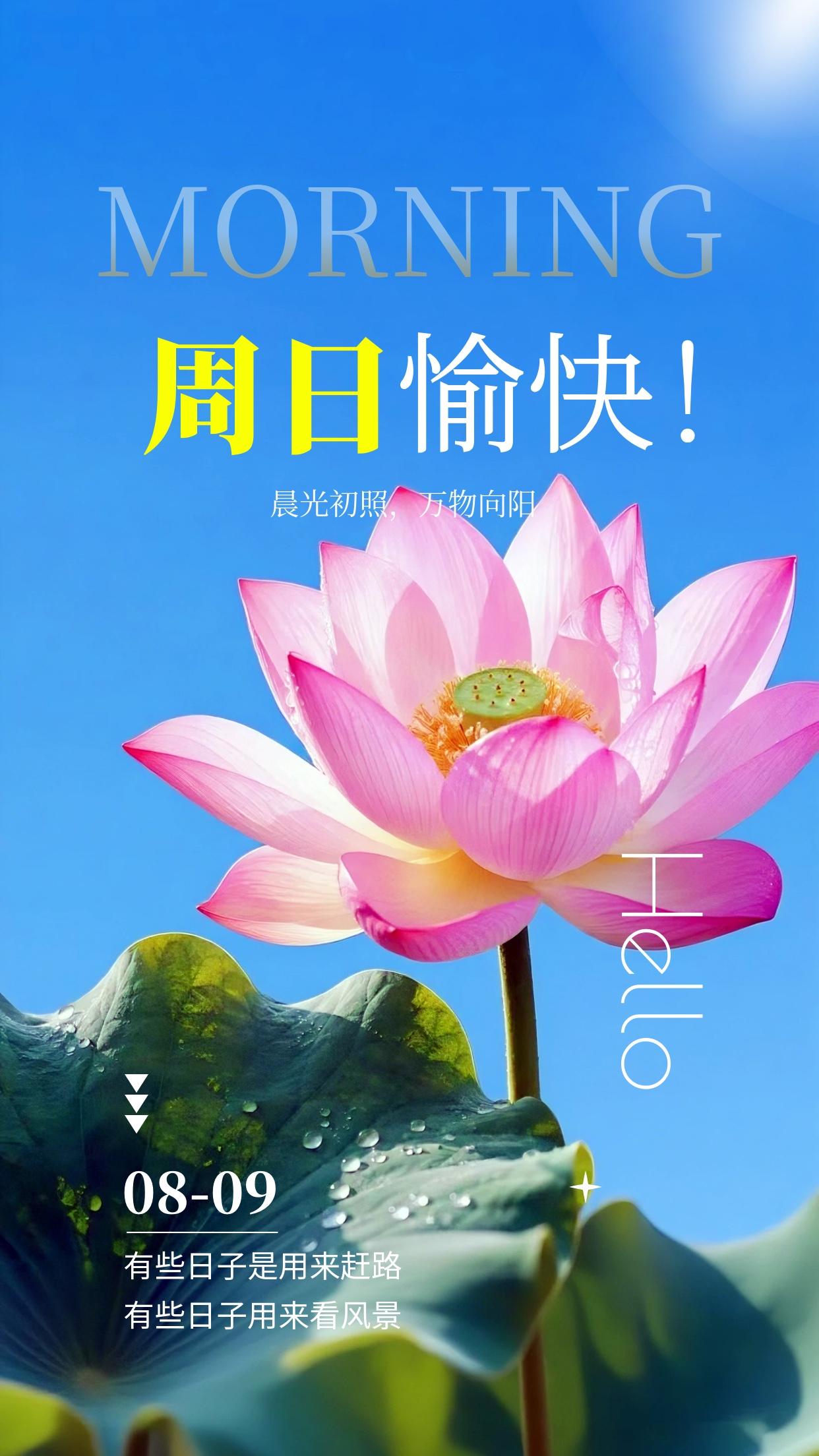 早安，今日周日✨！八月初秋的清晨格外治愈，阳光透过枝叶洒下温柔光斑，处处藏着清新