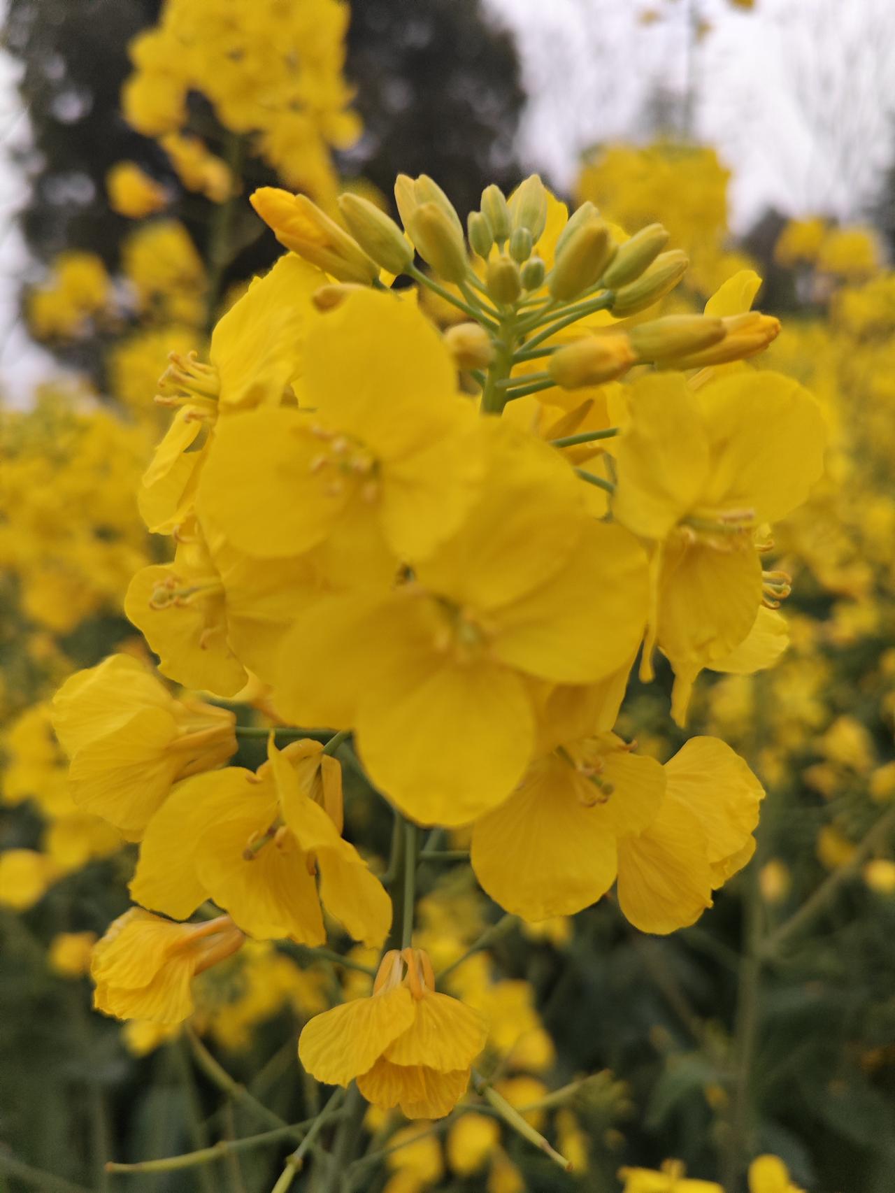 养生最大的骗局，就是以为花钱才能续命。错。真正让你越活越年轻的法子，全在生