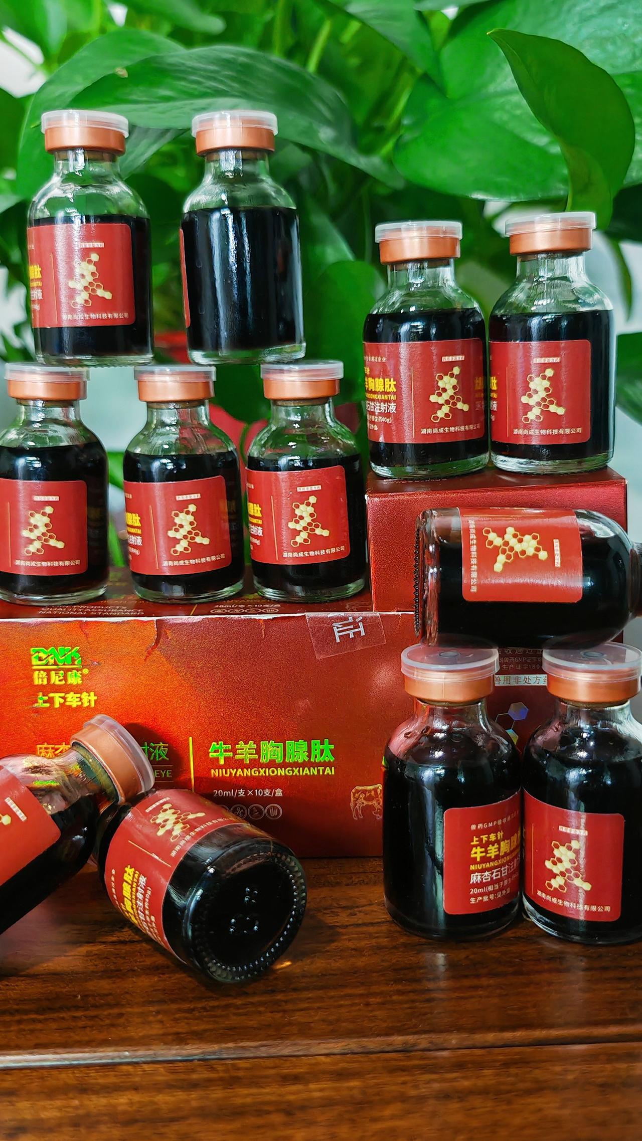 养羊人养殖场专用牛羊养殖农村养羊