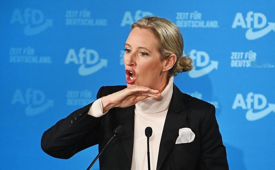 德国人为何选择魏德尔。因为德国不愿被犹太人裹挟。这个前纳粹高官的女儿——魏德尔，
