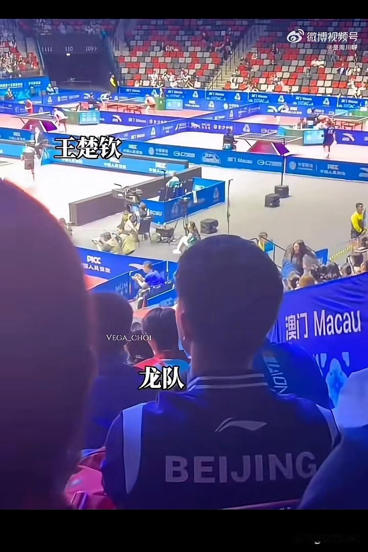 真是好兄弟：马龙看王楚钦比赛，比谁都着急！昨天的8进4男单比赛，王楚