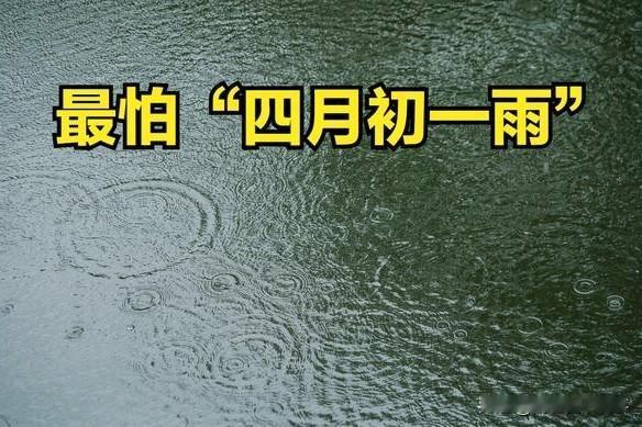 老人说最怕“四月初一雨”，今日四月初一，下雨有啥预兆？一起看老祖宗留下的农谚咋说