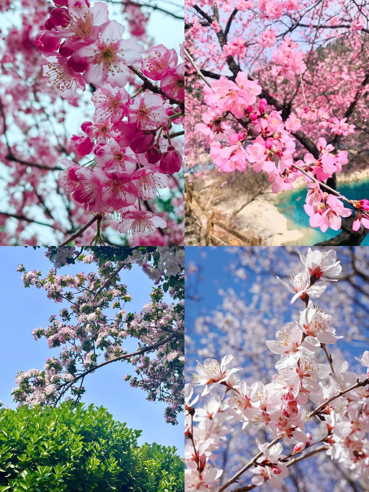 优化版（保留核心意境，强化对仗与韵律）上联：鸟语欢歌迎旭日下联：溪声雅韵伴