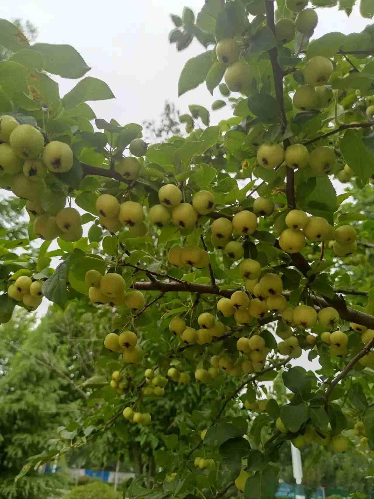 我的今日状态：😁轻松愉快我这里的天气：☀️晴天