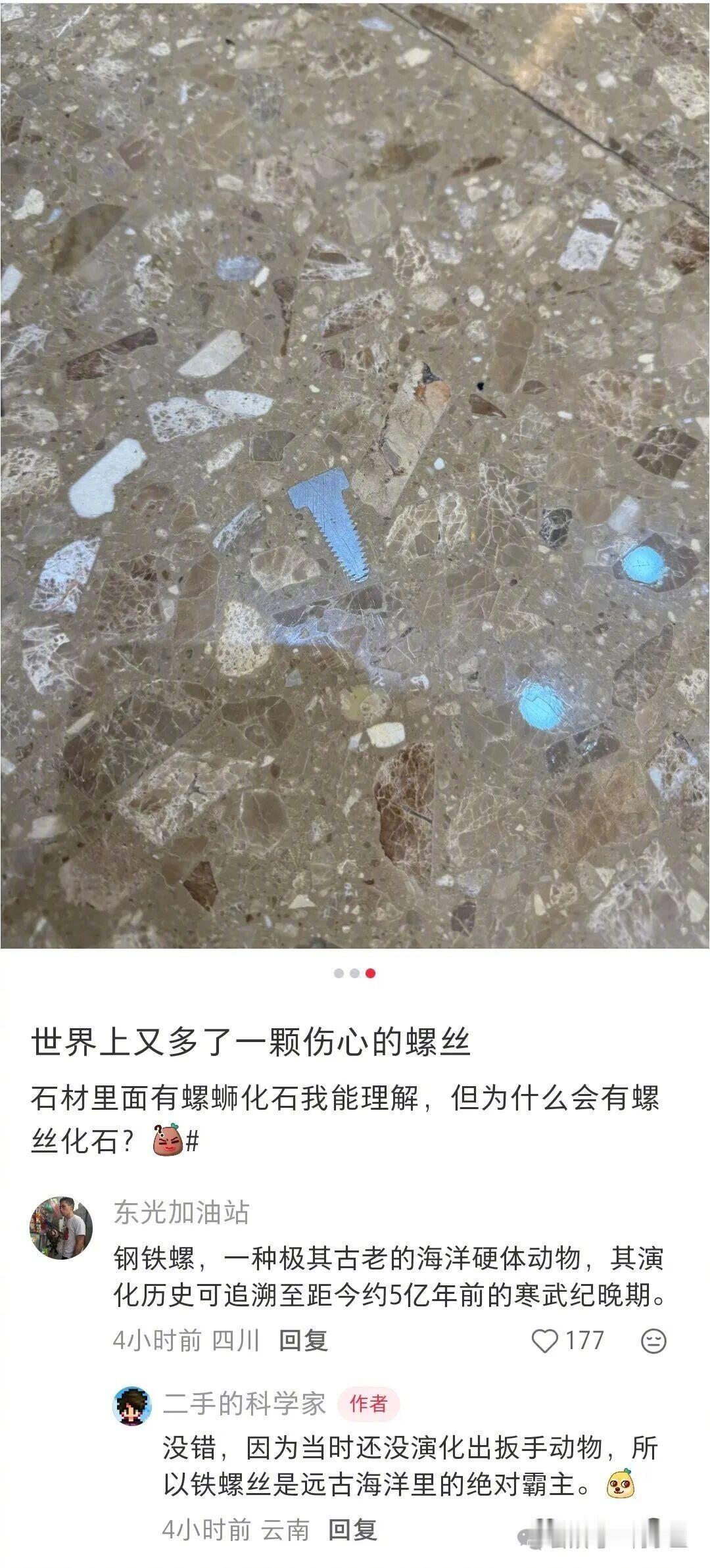 失去螺丝，伤心的也应该是螺母才对