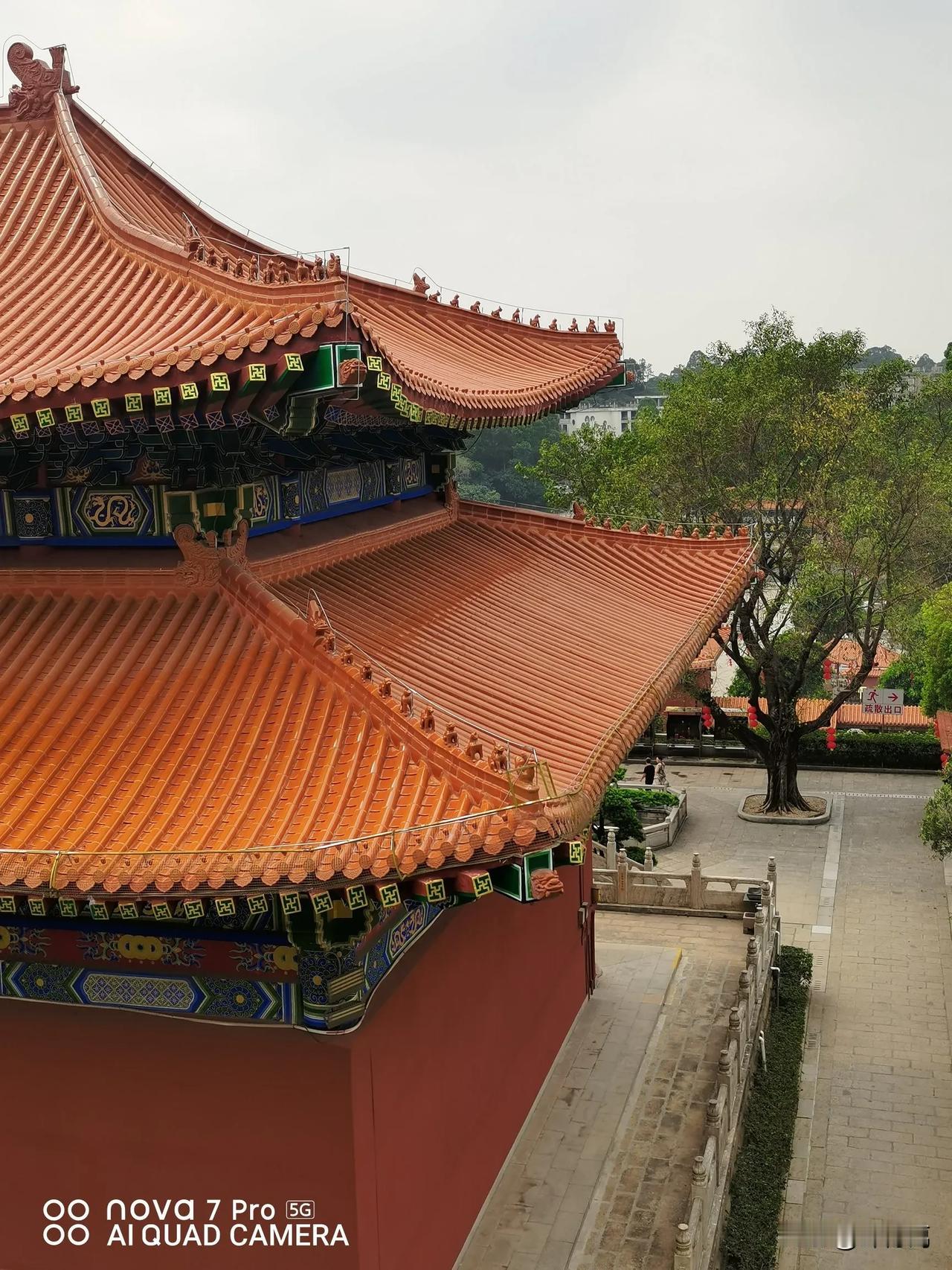 因果方面，如同身上长的疖子，有几种情况:1、早熟，也快一经发现，就掐了挤