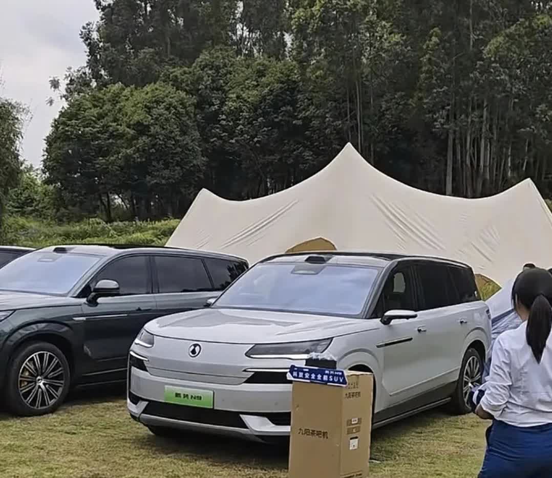 从长江总的聊天记录来看，腾势N9卖的真不错，中国人都喜欢大车。腾势N9上市即热销