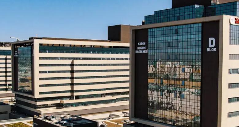 日本双日公司放了个大消息，他们不仅从澳大利亚弄来了重稀土，而且还特意先运到马来西