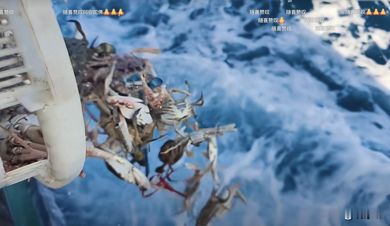 一筐螃蟹，被人从船上倒进海里。螃蟹在空中翻滚，有的壳碎了，有的腿断了，有的直接砸