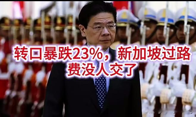 最近听闻新加坡马六甲海峡的过路费降低了23%。待中缅铁路、中巴铁路和中巴油气管