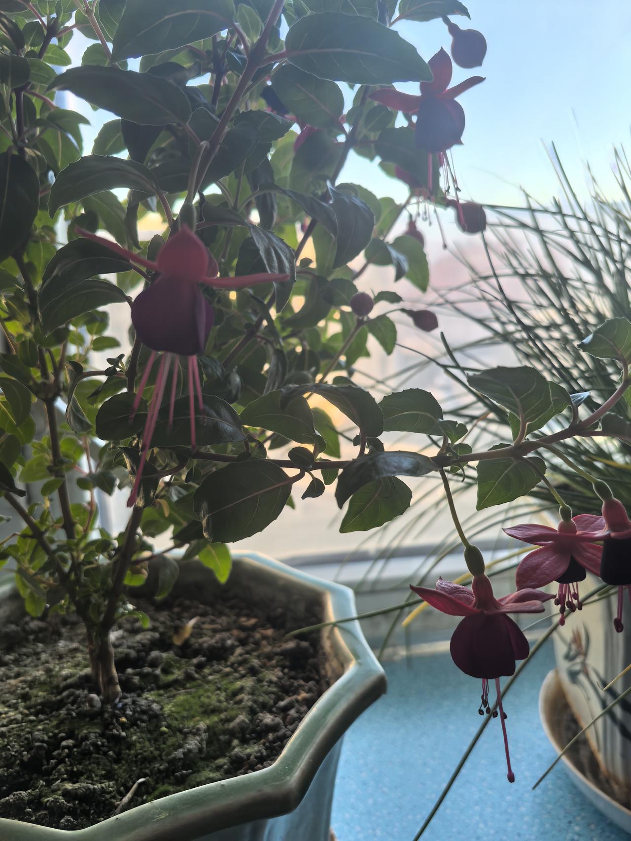 说句实话，我有点后悔没有陪着我爸爸做手术了。在家等消息的滋味真不好受。我爸是