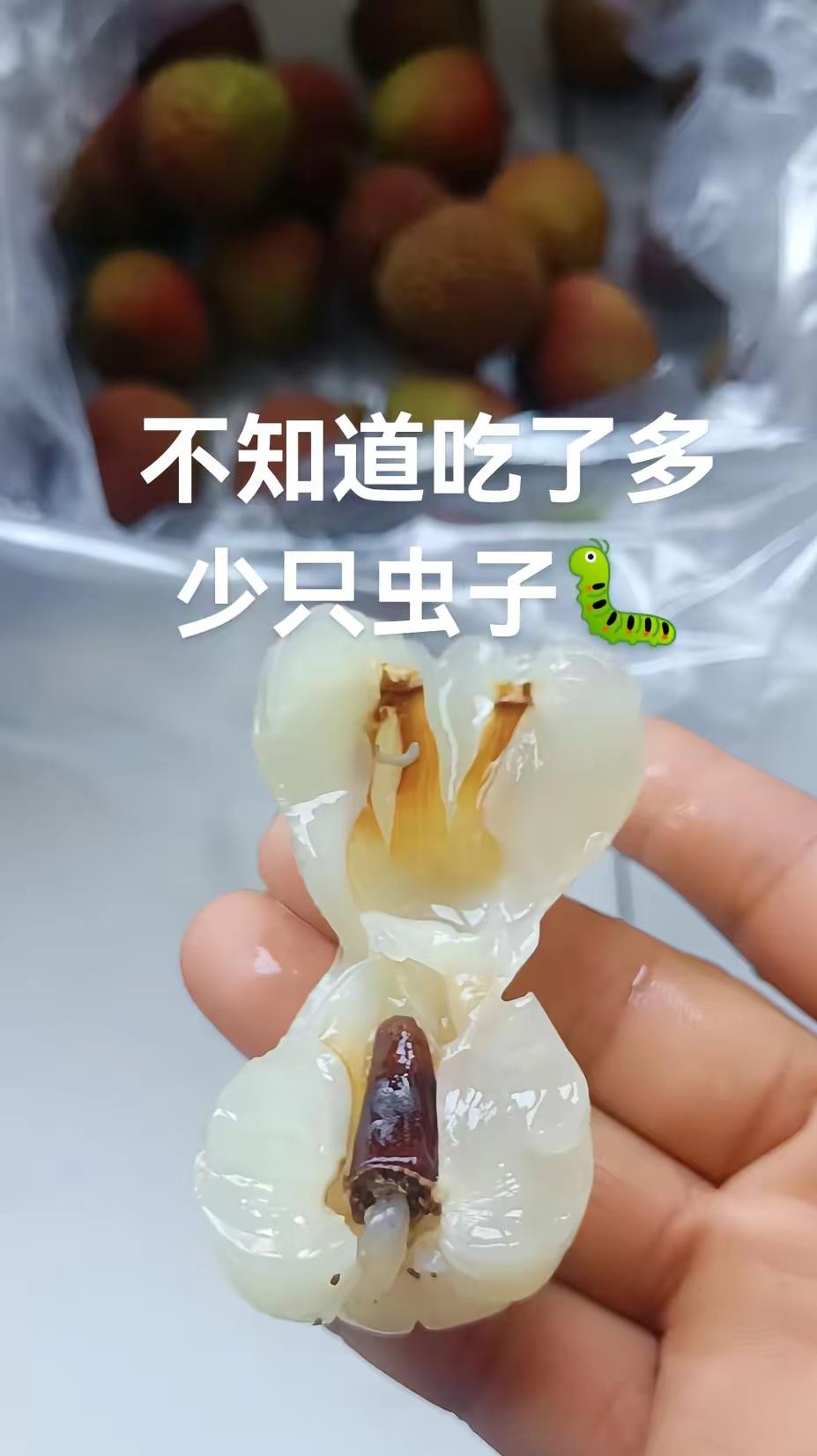 不知道吃了多少只虫子🐛🐛🐛