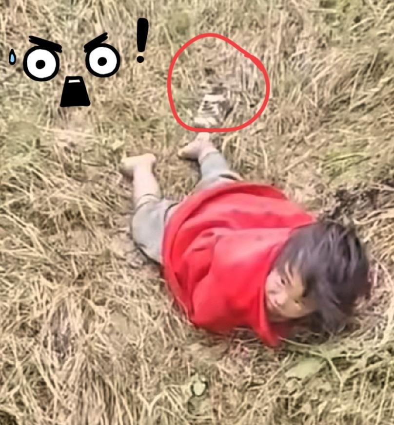 真没想到，辽宁4岁女孩，结果出人意料，她不是被陌生人抱走，也不是熟人作案，而是