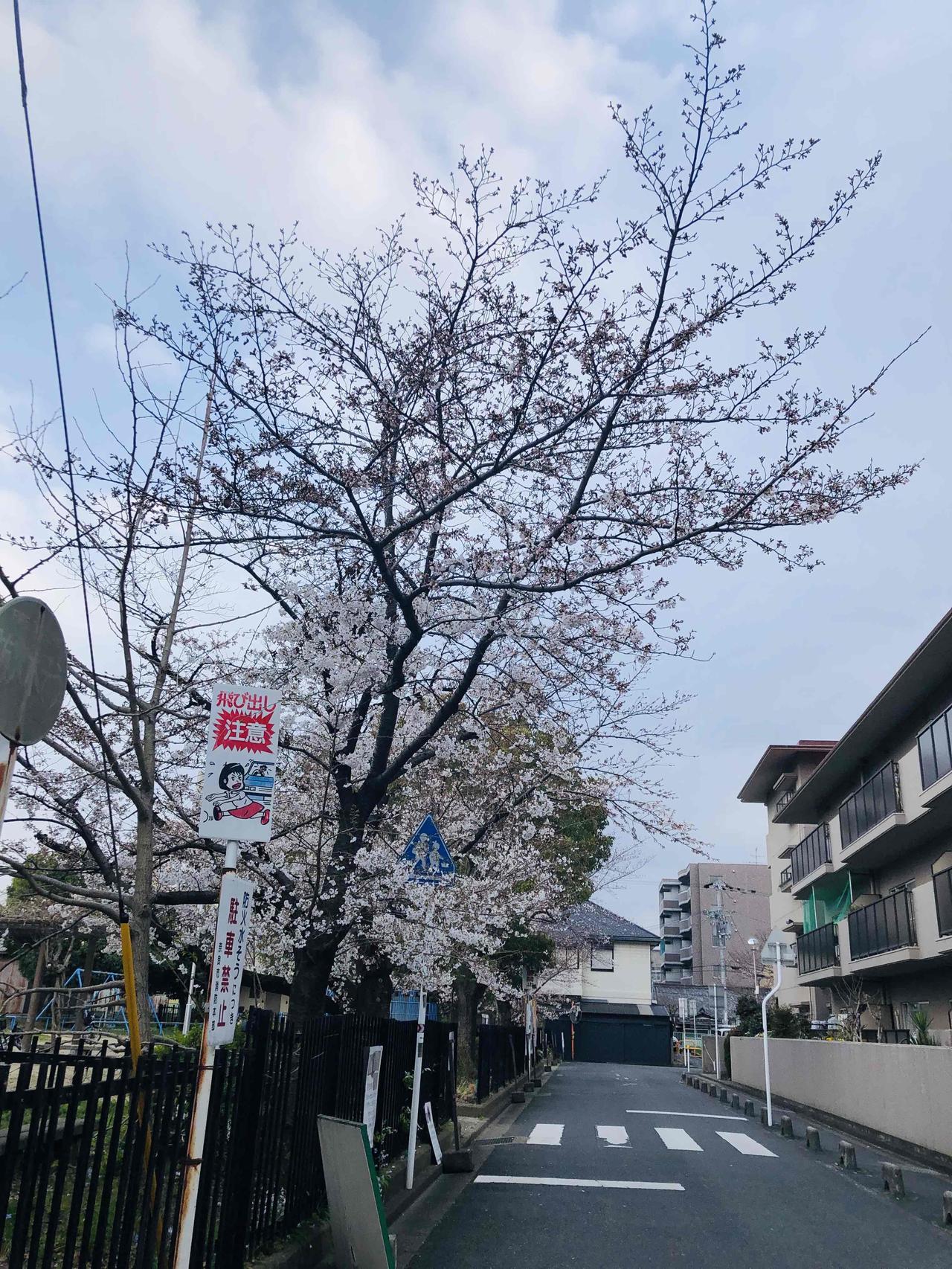 我有个姐，大我三岁。小时候我俩睡一张床，她老掐我，我老告状。冬天冷，我俩就挤一块