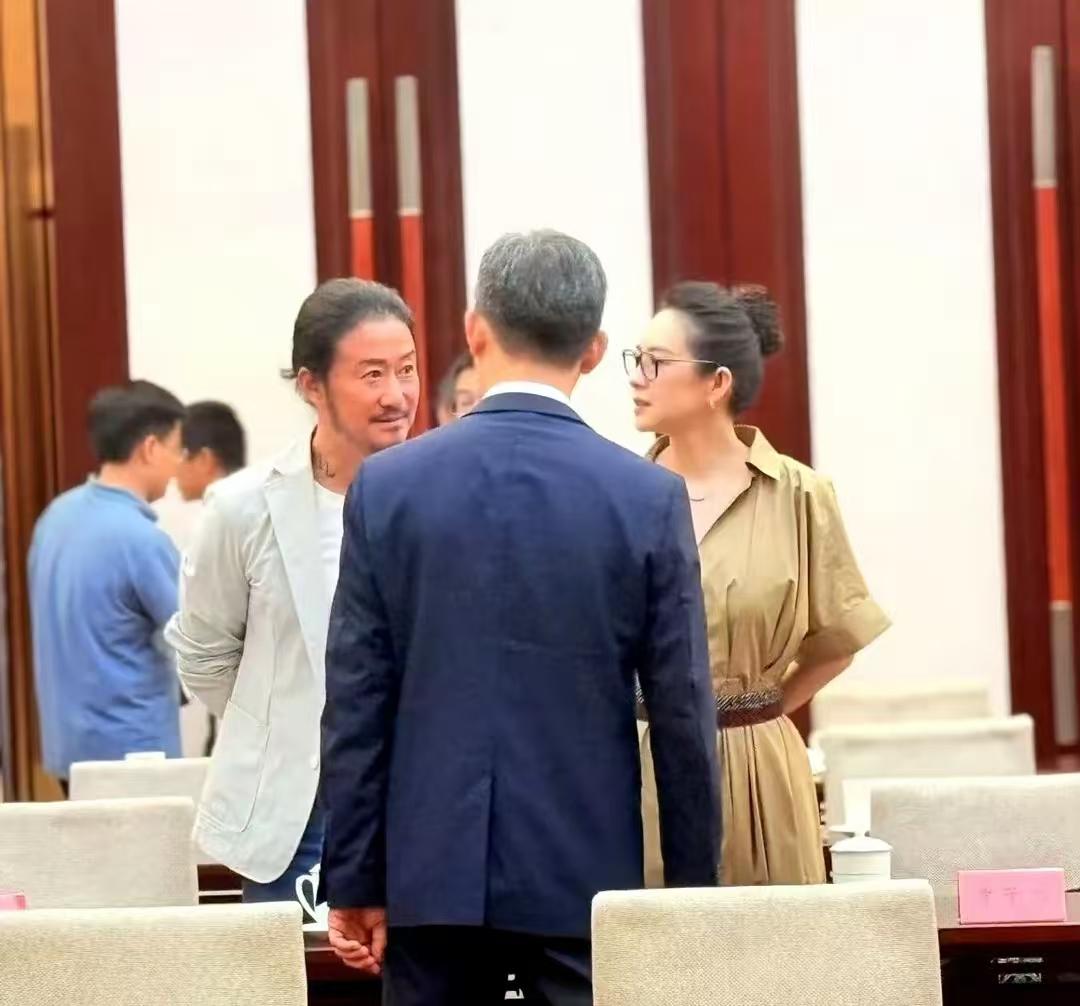 几位演员参加艺术家座谈会，网友的评价很到位。陈道明、张译、吴京、章子怡等人参