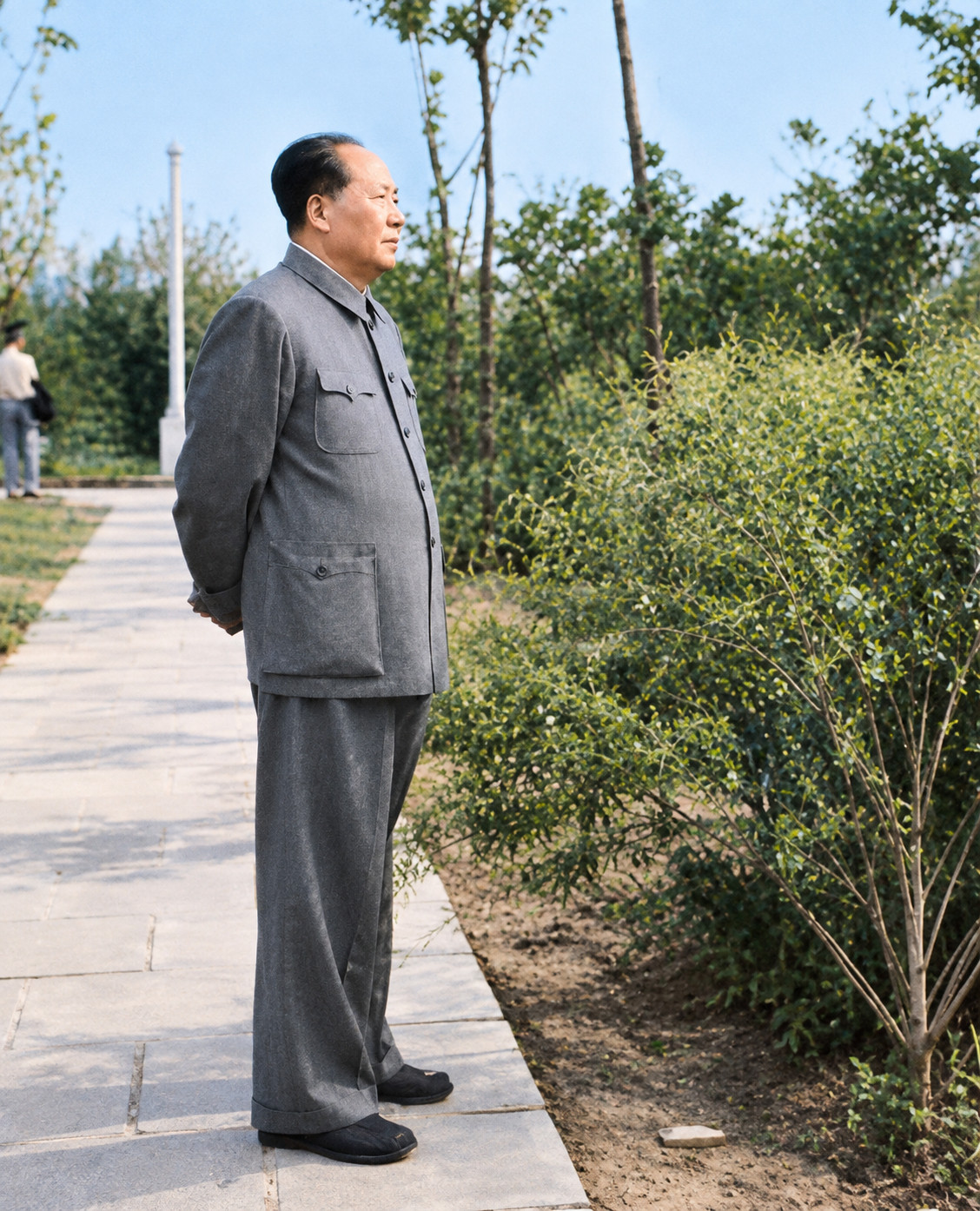 历史影像1965年在长沙赏茶花​​​