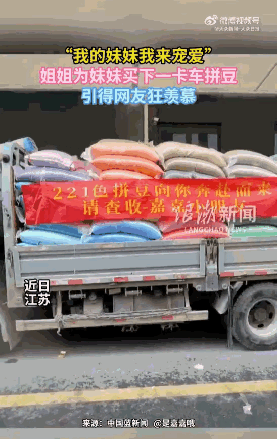 好心办坏事！江苏，一位妹妹做梦也没想到，她的亲姐姐豪掷重金，买下了221种颜色、