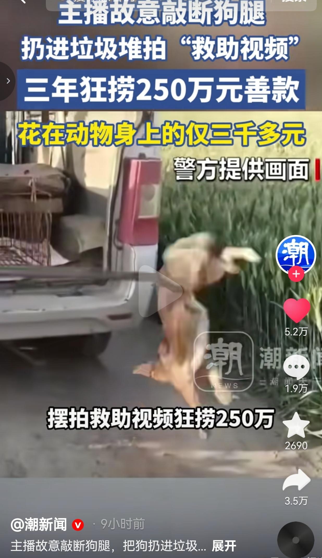 天底下最可恨的骗局，就是打着公益旗号，利用普通人的善心捞黑心钱。央视新闻、