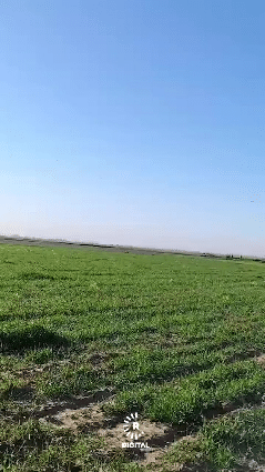 大批美国巡航导弹，超低空越过边境飞向德黑兰，这个场景几乎与1990年海湾战争一模