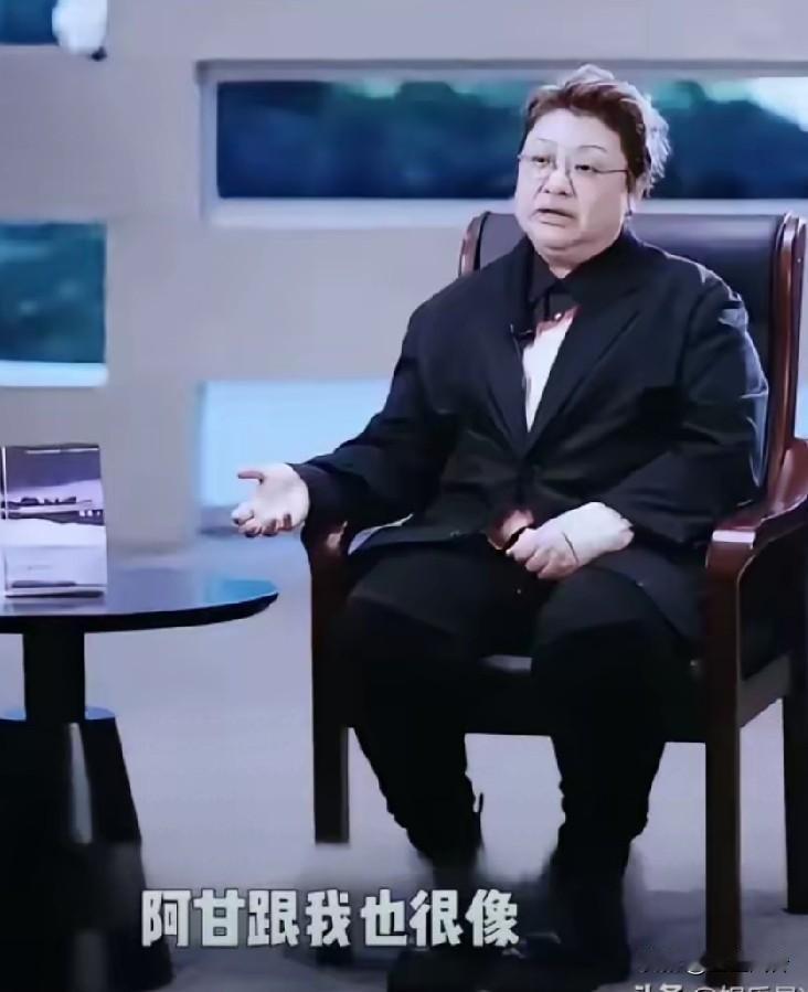 韩红沉浸在虚假的人设里，自己都信了，说自己像9岁的阿甘，看起来有点像傻子，不会算