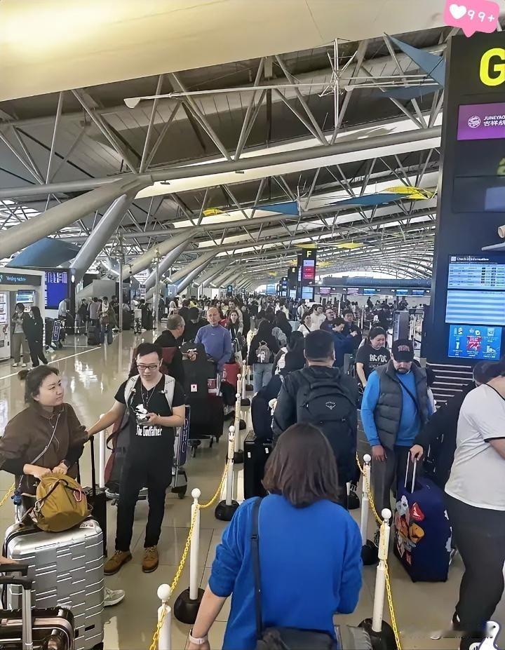 那些喊着“非日本不去”的朋友，这回算是体验了把“另类深度游”吧？咱就实在想不