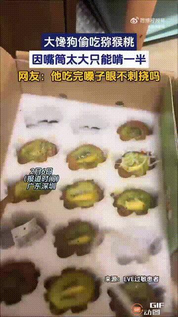 笑不活了！广东深圳一名女子买了一箱猕猴桃，刚拿回家的时候，她养的小狗就一直盯着看