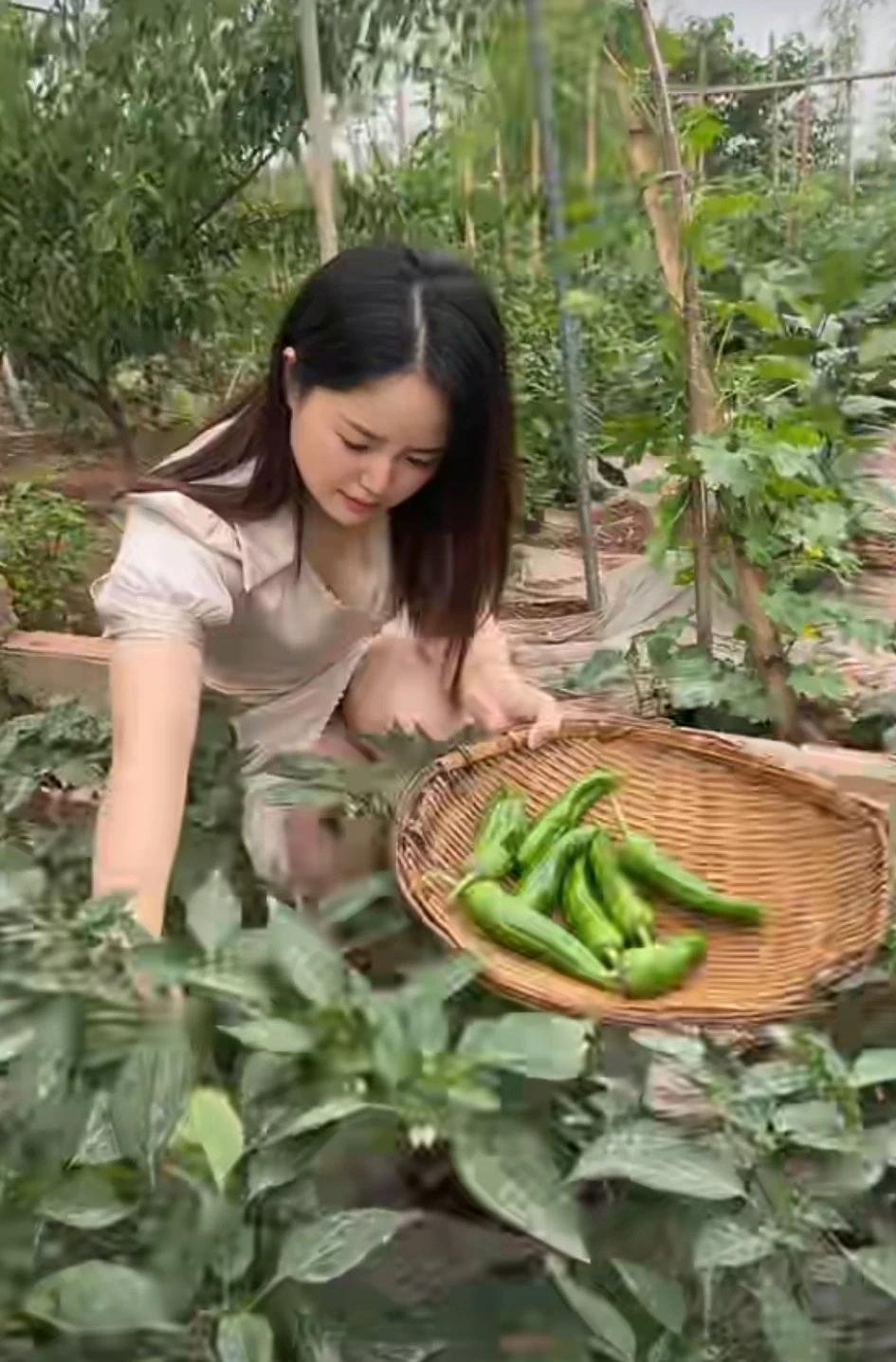 一首打油诗送给这个老表妹:光着膀子眯着嘴，青椒拂过大长腿。嘴腿之间放大米，若