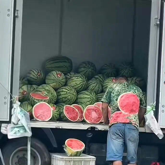 西瓜摊主的工作服给我看晕了迷惑行为大赏​​​